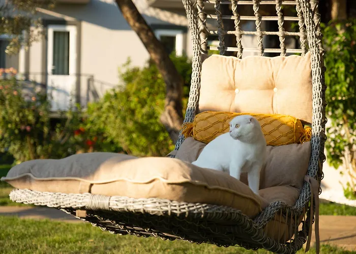 Hotel Kibele Ölüdeniz